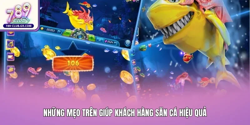Những mẹo trên giúp khách hàng săn cá hiệu quả