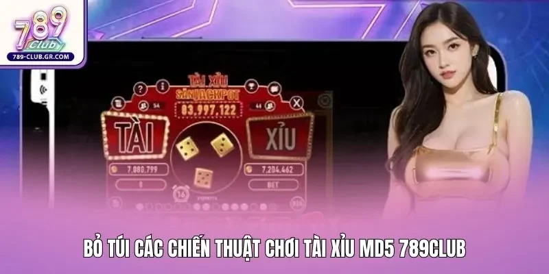 Bỏ túi các chiến thuật chơi tài xỉu MD5 789club