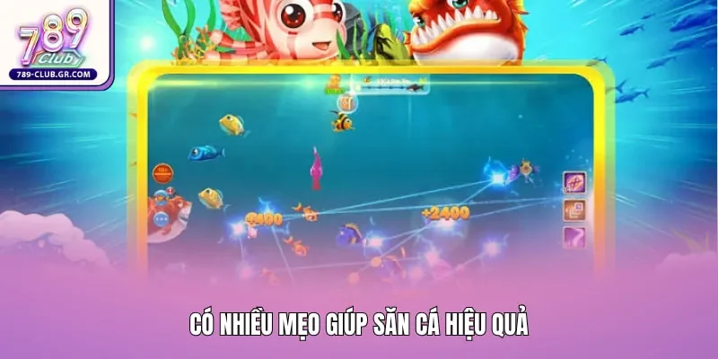 Có nhiều mẹo giúp săn cá hiệu quả